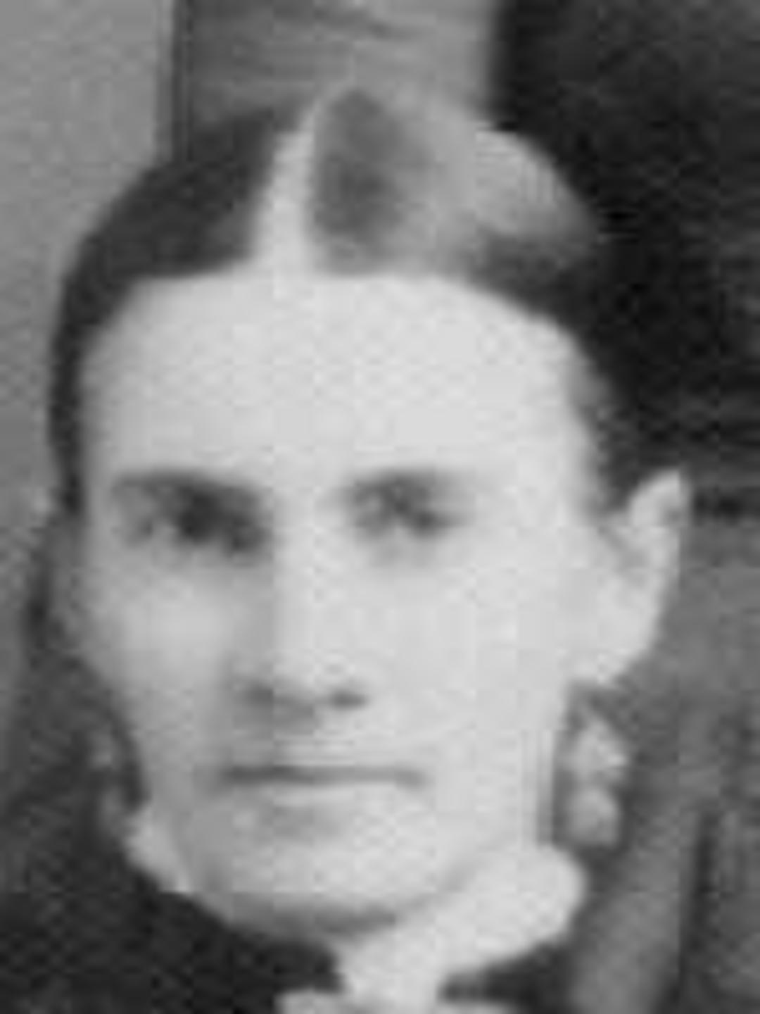 Sarah Amanda Ferguson Price (1850 - 1930) Profile